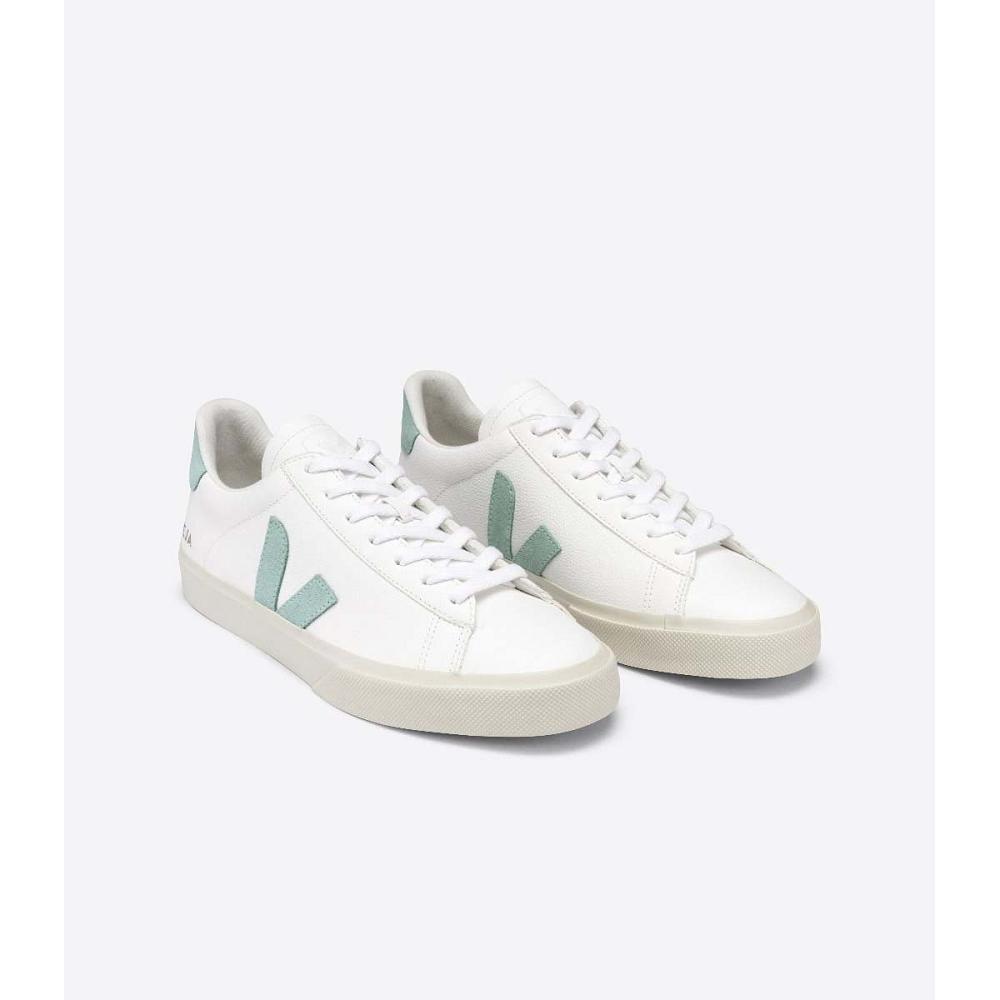 Low Tops Sneakers ανδρικα Veja CAMPO CHROMEFREE White/Green | GR 196NWY